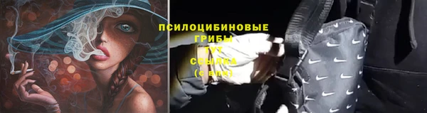 крисы Алексеевка